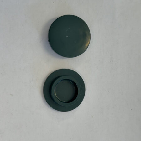 Zodiac Cover Plate Button - Green